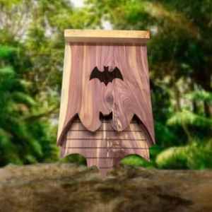 Bat Boxes